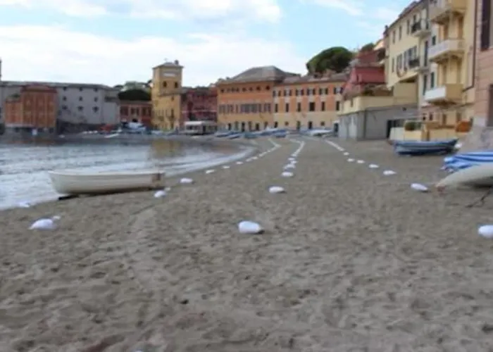 Le Gemme Con Parcheggio E Giardino Bed & Breakfast 3*